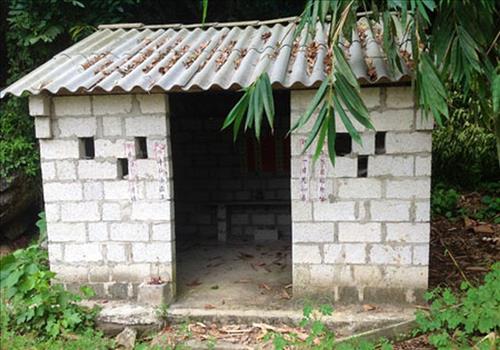 rung ma dong nhi - mieu tho than rung dong san