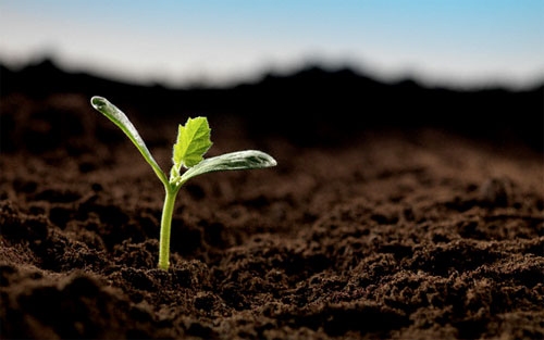 song chet la dieu khong the tranh khoi tren the gian