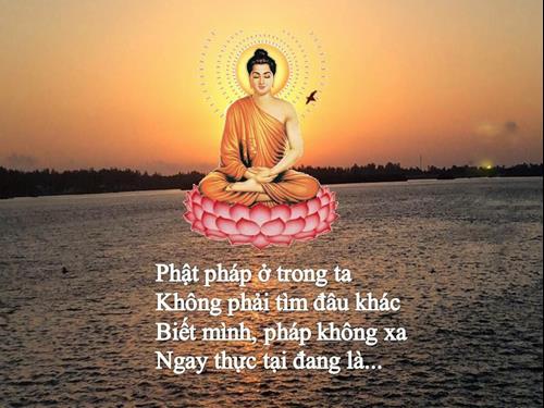 tan sau trong ta luon co thien tam tan sau trong ta luon co thien tam