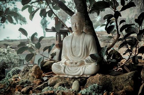 Tha thu cho nguoi lam ton thuong ban 3 Tha thu cho nguoi lam ton thuong ban 3