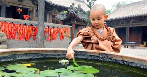 Tìm hiểu về việc bán khoán con cho chùa Tim hieu ve viec ban khoan con cho chua