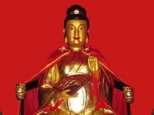 tuong mau lieu hanh giang sinh