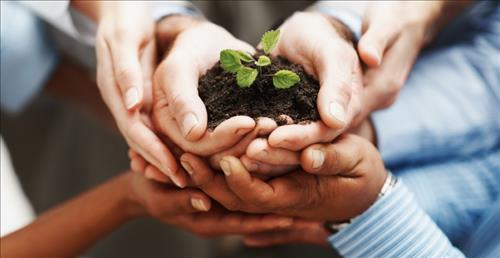 Vay doi voi Phat giao thi y nghia cua tinh thuong la gi