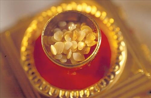 Xa loi Phat co tac dung gi