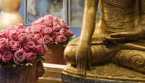 xuc dia thu an Xúc địa thủ ấn