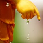 Y nghia nghi thuc tam Phat trong thang le Phat Dan sinh hinh anh 2