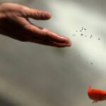 Phong sinh xuat phat tu tam