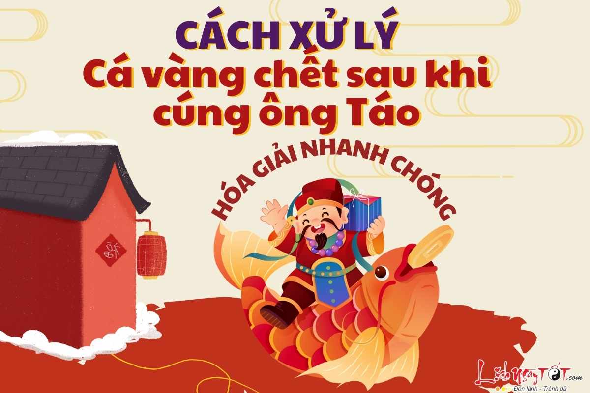 xu ly ca chet sau khi cung ong Tao