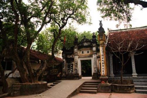 cảnh chùa hàm long canh chua ham long