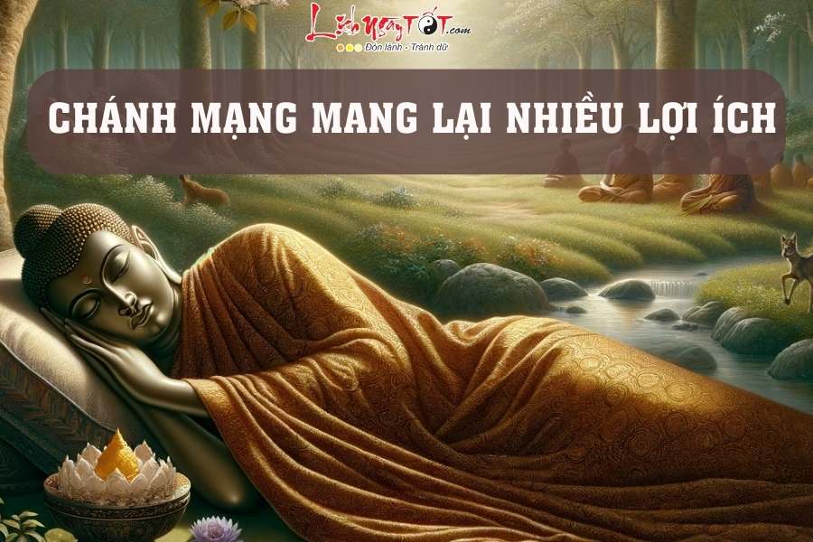 Loi ich cua Chanh mang la gi