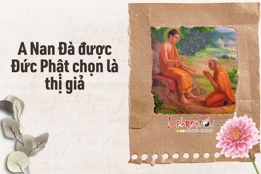 A Nan Da tro thanh thi gia