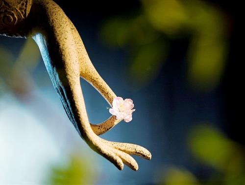 cham soc nguoi benh cung lam tang phuoc bao cho minh cham soc nguoi benh cung lam tang phuoc bao cho minh