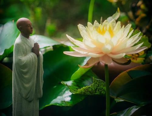 chung ta phai tinh tam de tim ra vien ngoc quy