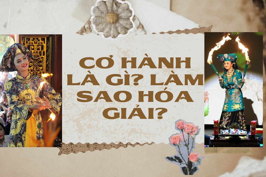 Cơ hành là gì Có giải pháp gì thoát khỏi cơ hành hay không? Co hanh la gi Co giai phap gi thoat khoi co hanh hay khong?