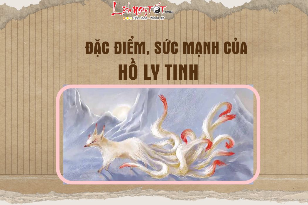 Đặc điểm của hồ ly tinh Dac diem cua ho ly tinh