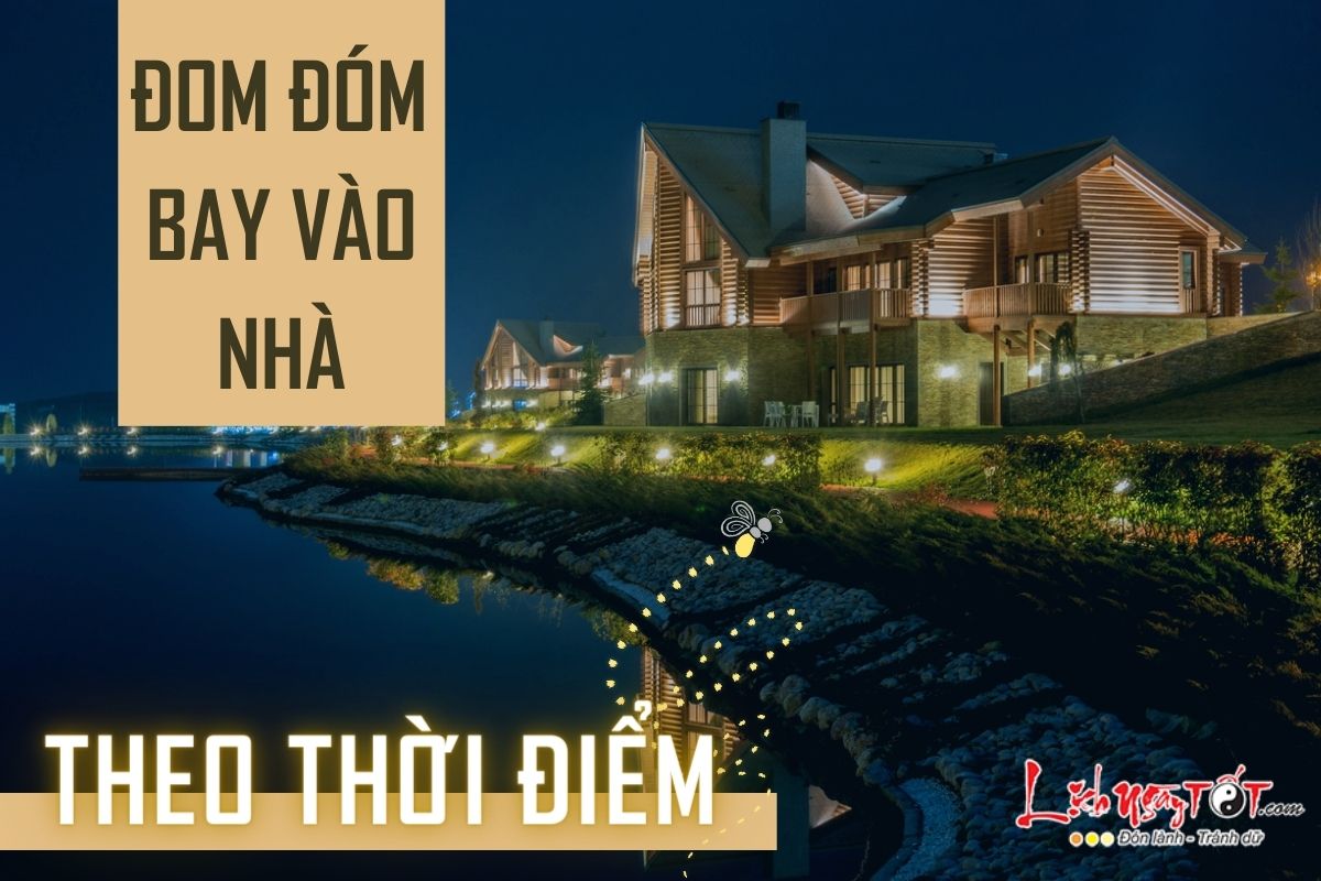 Đom đóm bay vào nhà theo thời điểm Dom dom bay vao nha theo thoi diem