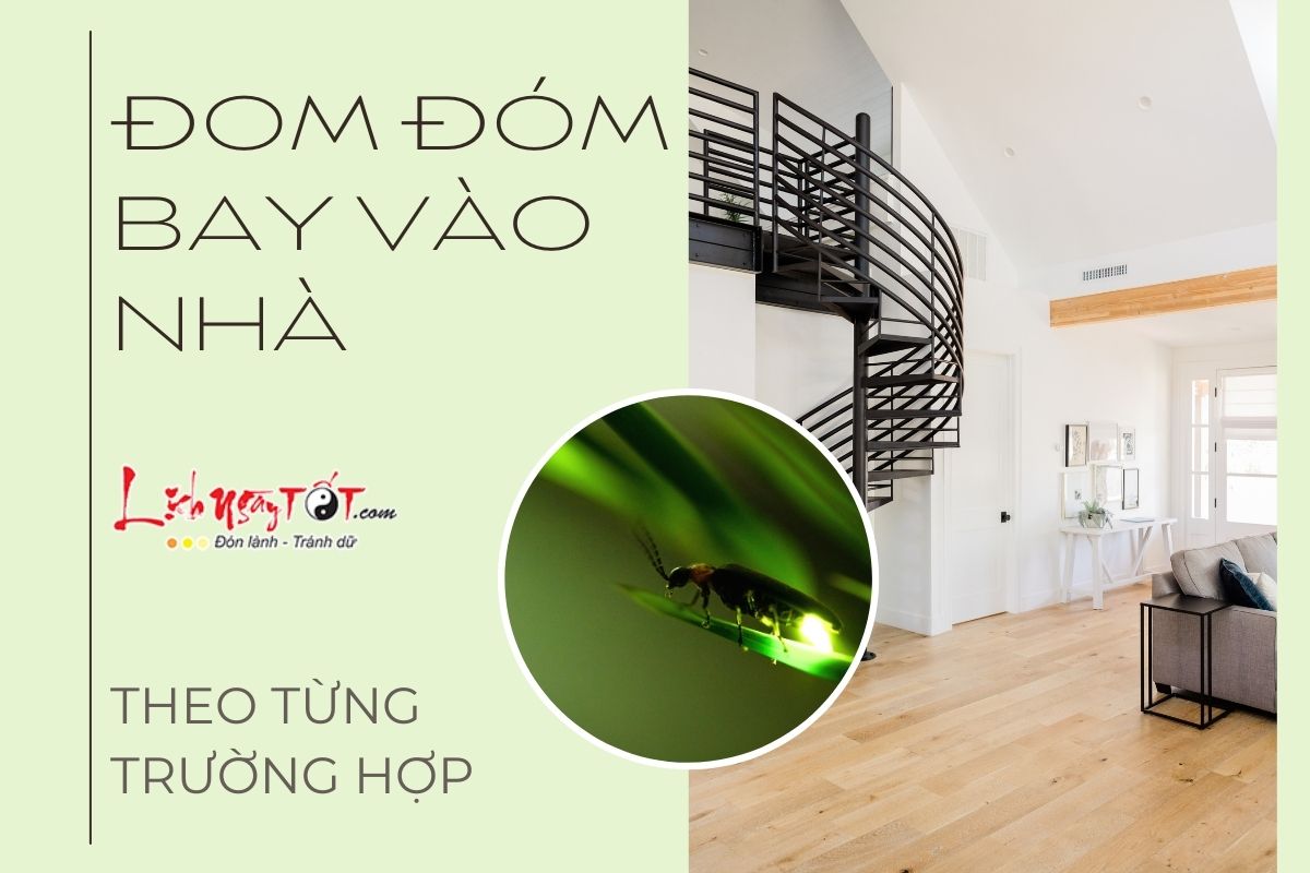 Đom đóm bay vào nhà theo từng trường hợp Dom dom bay vao nha theo tung truong hop