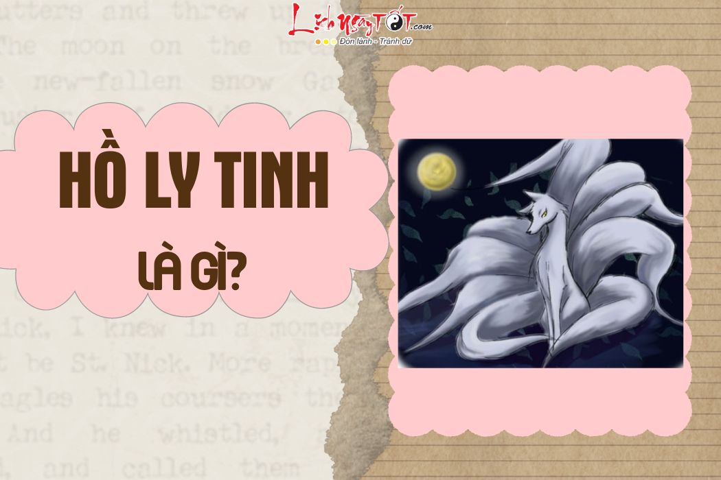 Hồ ly tinh là gì Ho ly tinh la gi
