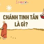 Khái niệm chánh tinh tấn là gì Khai niem chanh tinh tan la gi