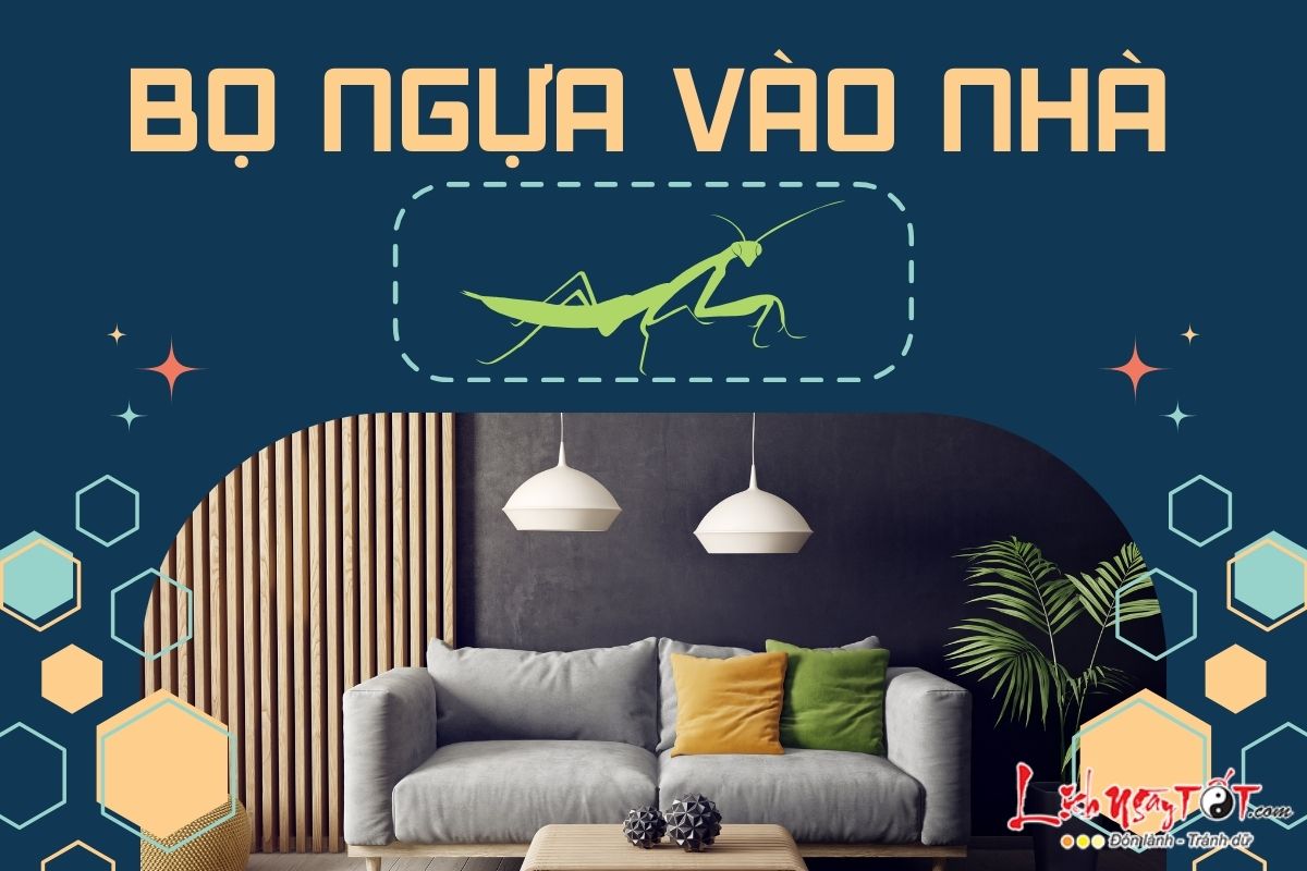 Bọ ngựa vào nhà Bo ngua vao nha