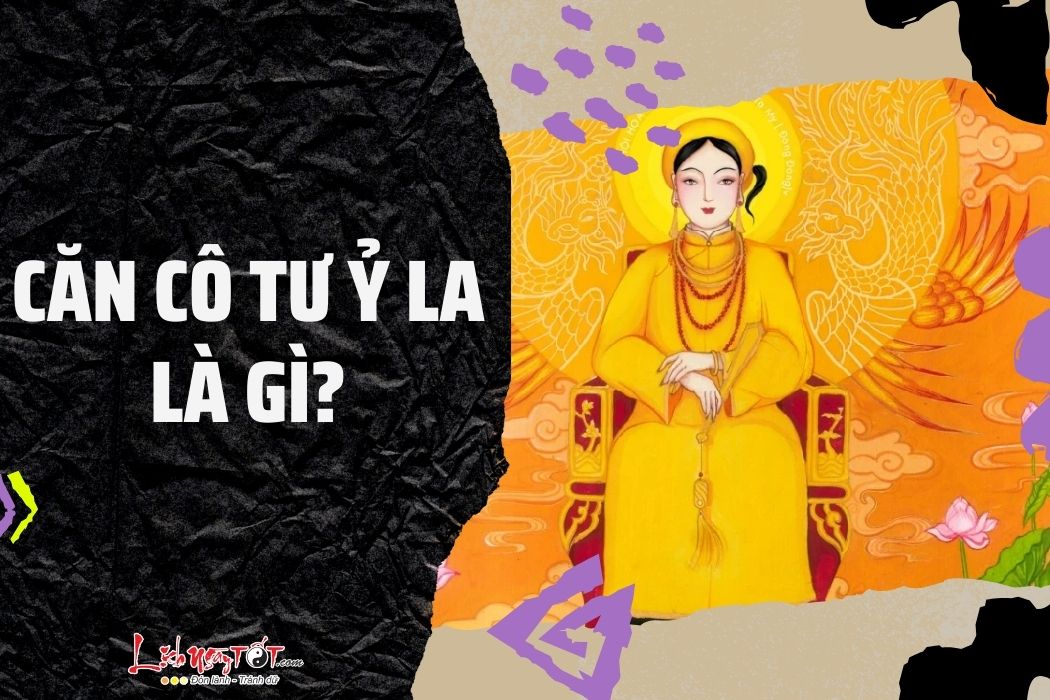 Căn cô Tư Ỷ La là gì Can co Tu Y La la gi