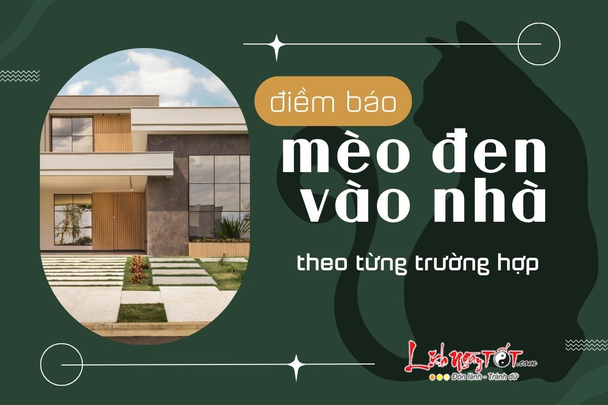 Điềm báo mèo đen vào nhà Diem bao meo den vao nha
