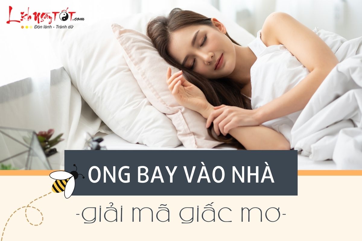 Giải mã giấc mơ về ong Giai ma giac mo ve ong