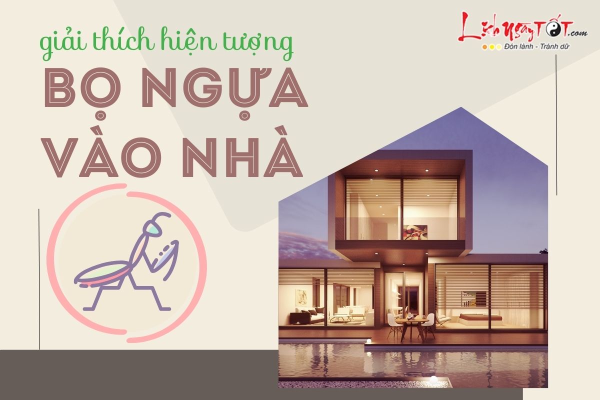 Giải thích hiện tượng bọ ngựa vào nhà Giai thich hien tuong bo ngua vao nha