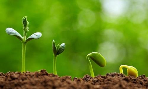 Người kiên trì nhân ái suốt cuộc đời Nguoi kien tri nhan ai suot cuoc doi