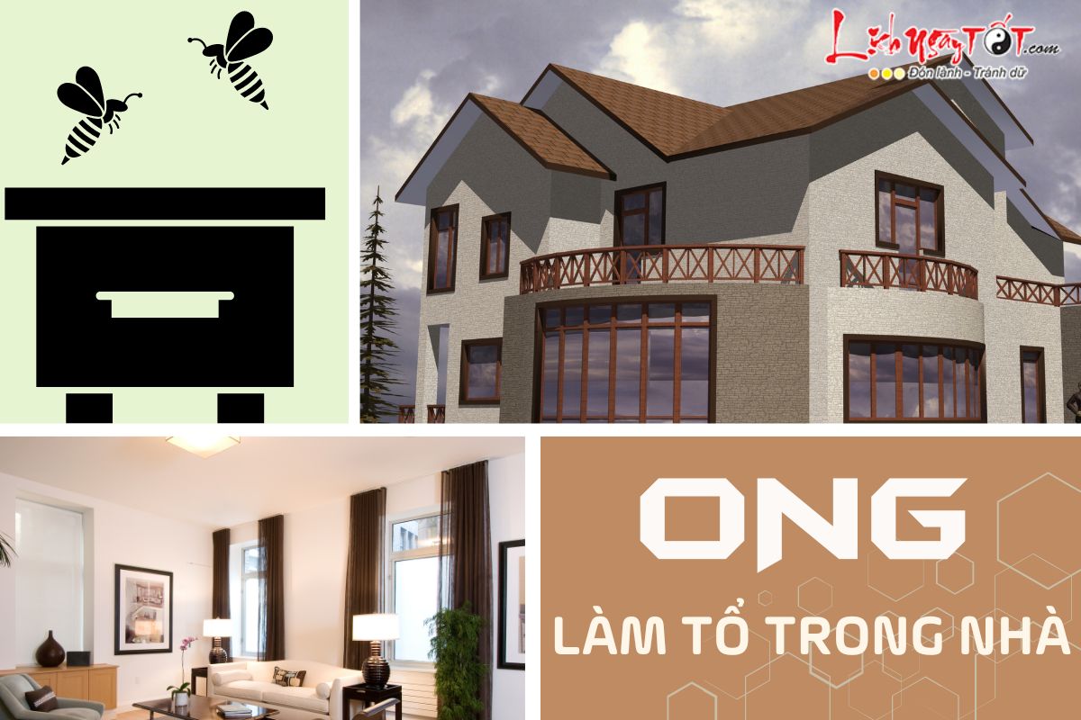 Ong lam to trong nha