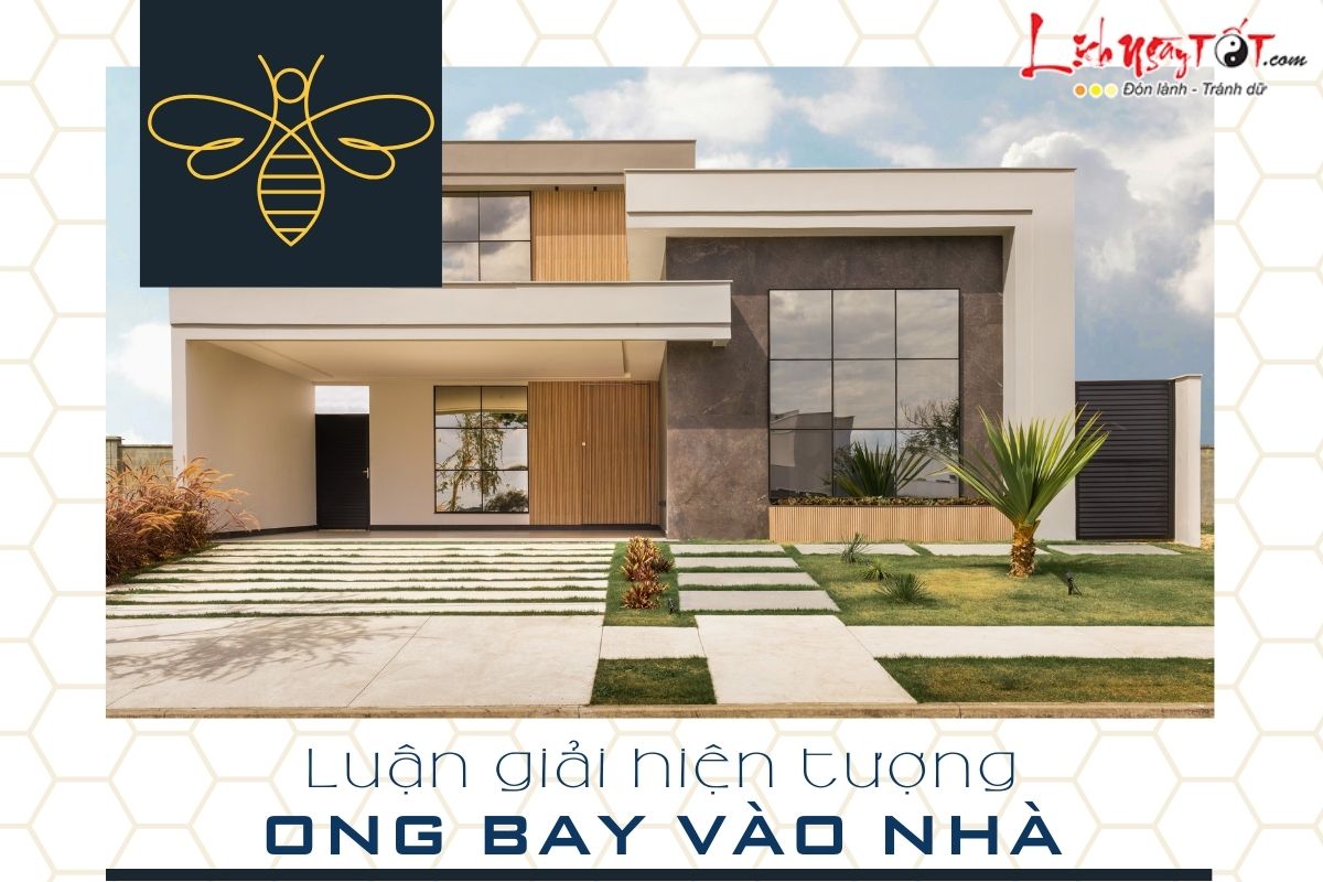 Phân tích hiện tượng ong bay vào nhà Phan tich hien tuong ong bay vao nha