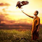 ly do phat tam bo de ly do phat tam bo de