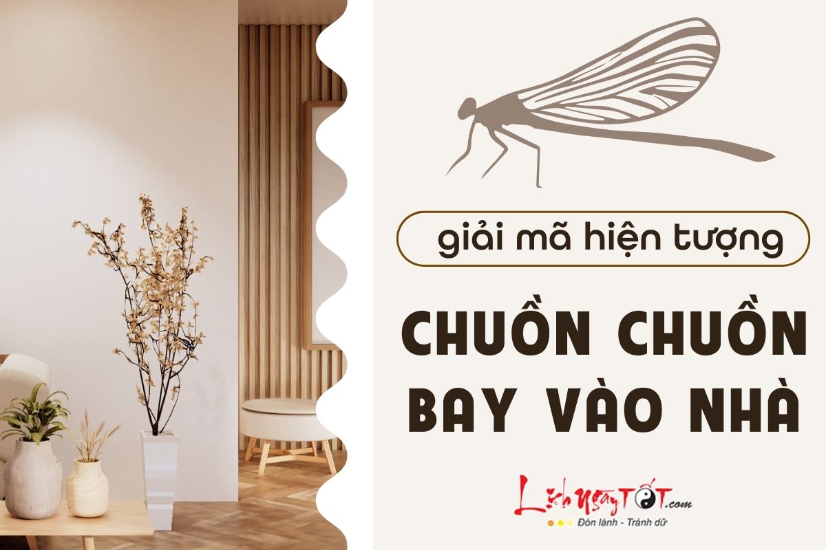 Chuồn chuồn bay vào nhà là điềm gì Chuon chuon bay vao nha la diem gi