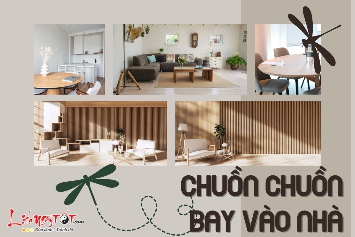 Chuồn chuồn bay vào nhà Chuon chuon bay vao nha
