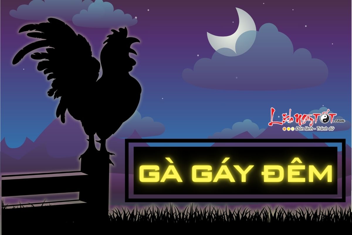 Gà gáy đêm là điềm gì Ga gay dem la diem gi