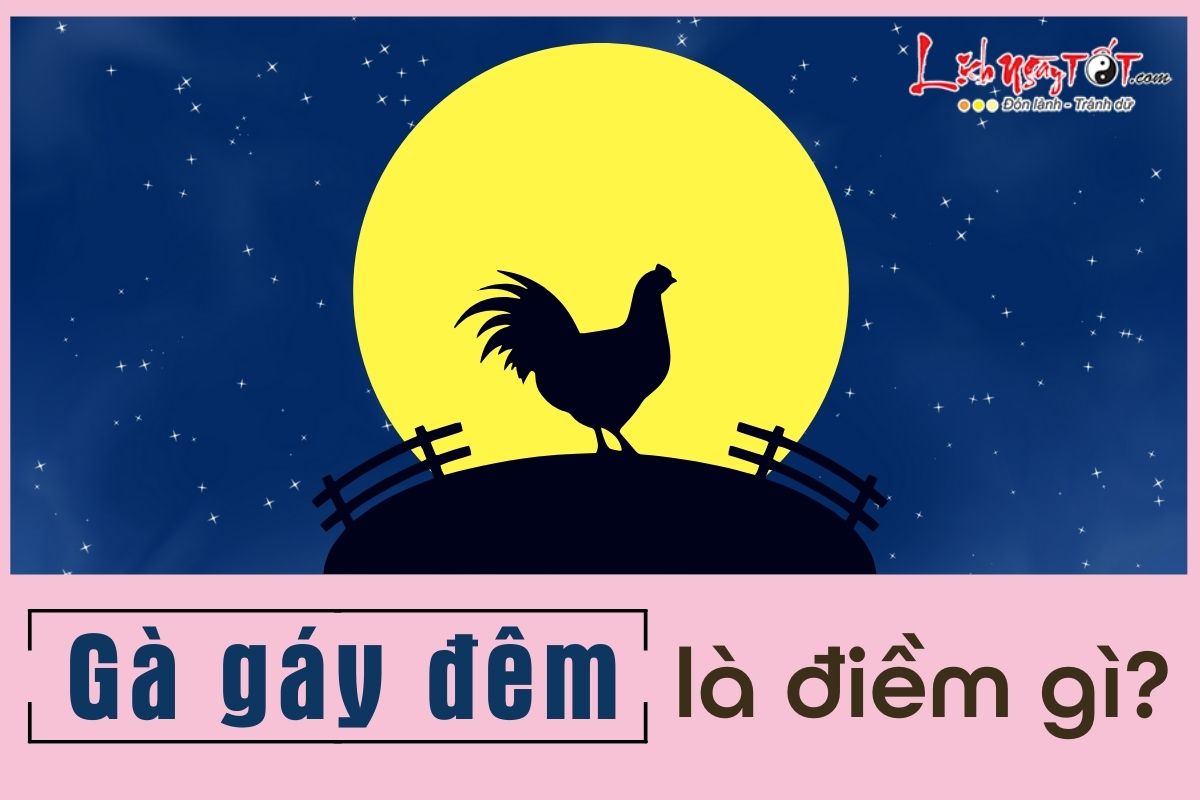 Gà gáy đêm Ga gay dem