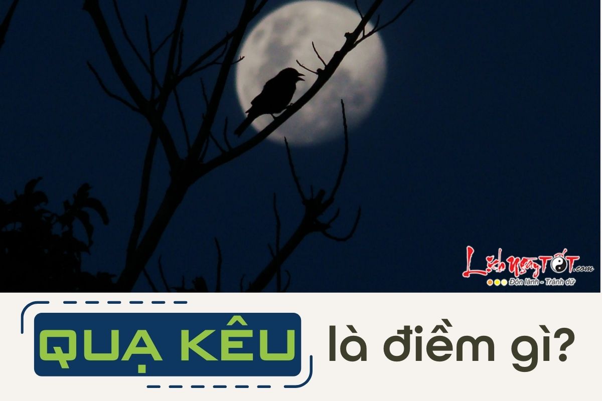 Quạ kêu là điềm gì Qua keu la diem gi