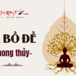 La bo de phong thuy