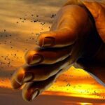 Buông bỏ 10 điều để cuộc sống an nhàn thêm 10 phần hình ảnh 2 Buong bo 10 dieu de cuoc song an nhan them 10 phan hinh anh 2