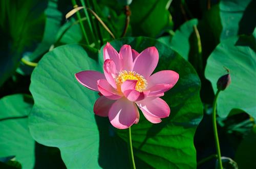 Tu chiu trach nhiem cho cuoc doi minh