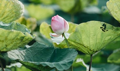 Hay tran trong nhung nguoi ban gap