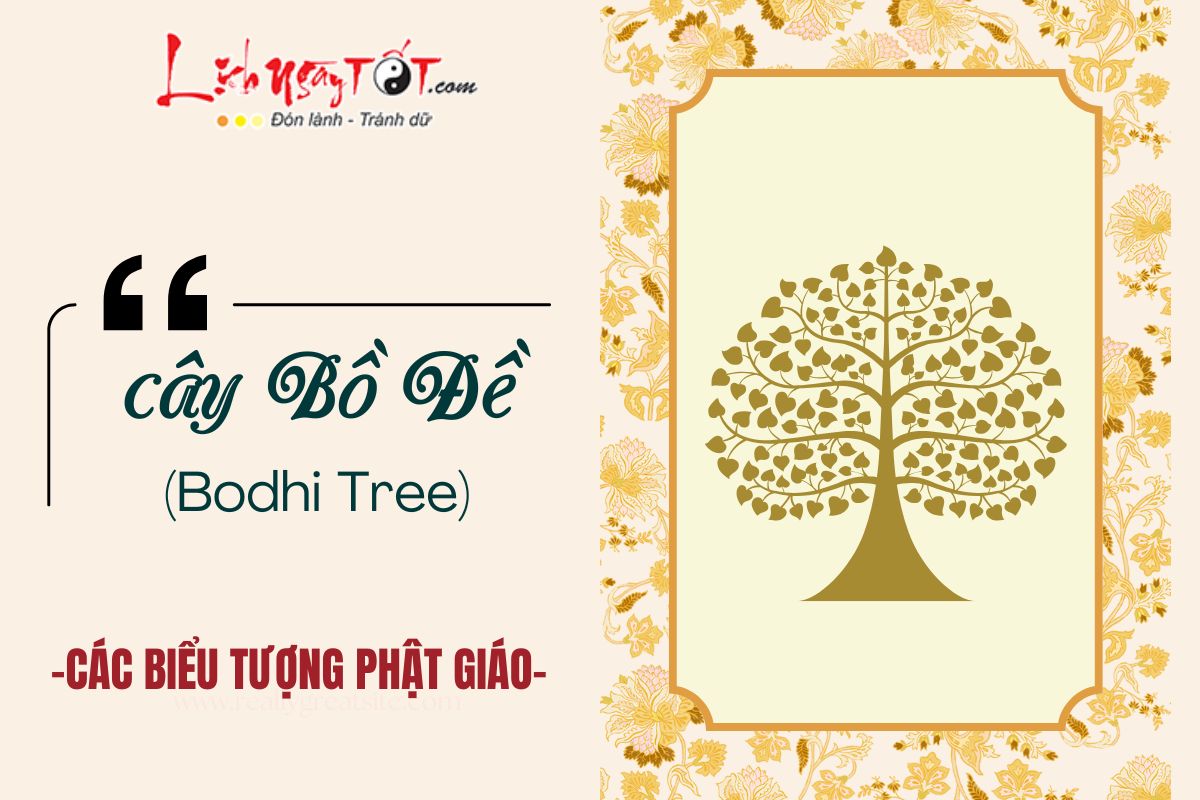 Cay Bo De (Bodhi Tree)