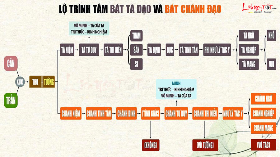 Lộ trình thay đổi tâm bát tà đạo và bát chính đạo Lo trinh thay doi tam bat ta dao va bat chinh dao