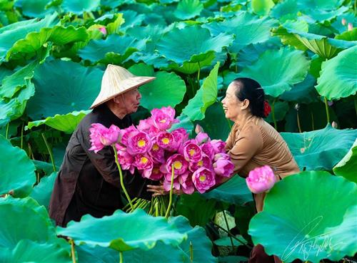 Trải nghiệm đau đớn sẽ làm cho bạn trở nên hoàn hảo Trai nghiem dau don se lam cho ban tro nen hoan hao