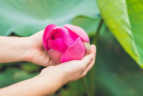 Khong co tam ham muon Phap