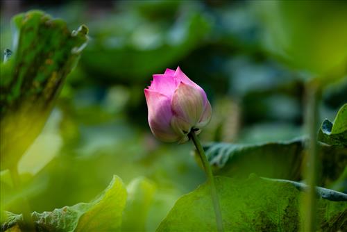 Suc manh bien doi cua Bat Nha Tam Kinh