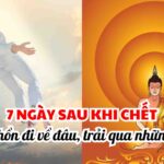 Nguoi chet sau 7 ngay se trai qua nhung gi?