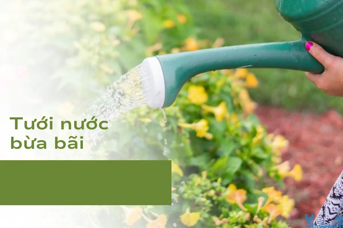 Điều cần tránh số 3: Tưới nước bừa bãi