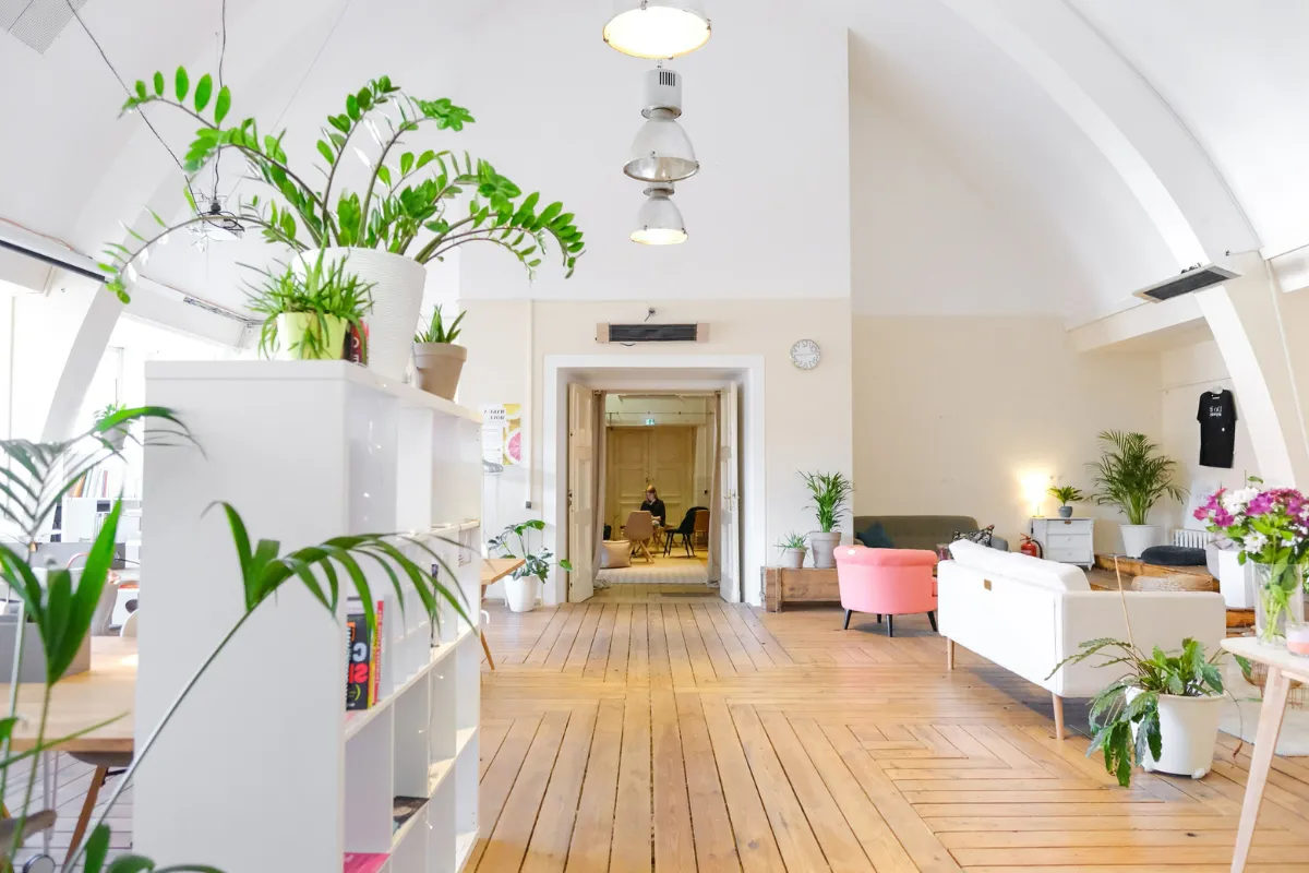 Một chế độ ánh sáng hợp lý sẽ giúp cây cảnh Mini của bạn luôn khỏe mạnh