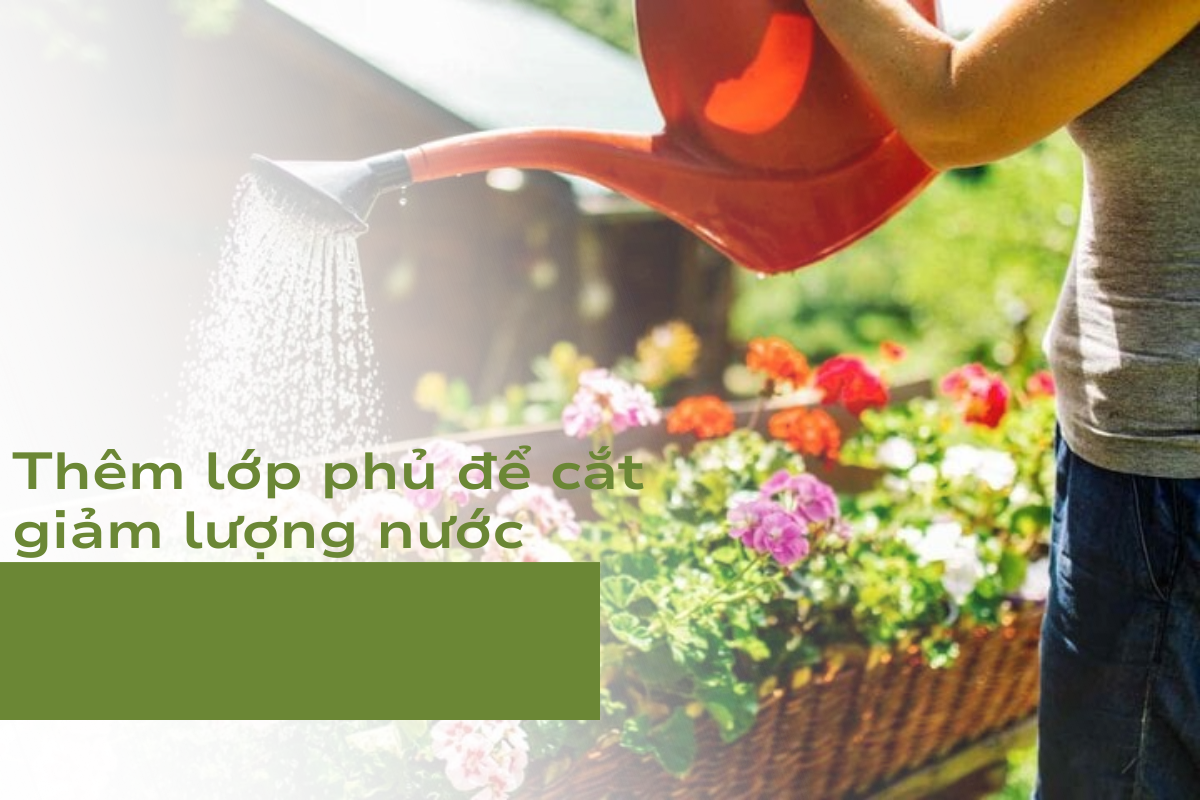Phương pháp hỗ trợ trong nguyên tắc trồng cây: Thêm lớp phủ để cắt giảm lượng nước